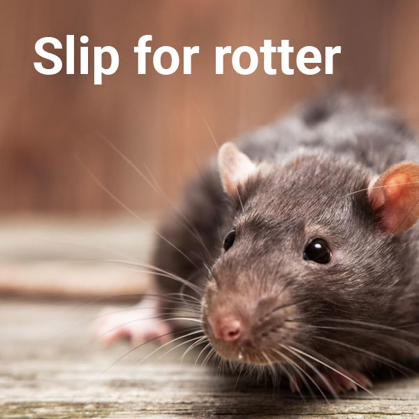 rottespærre i Vejle, Horsens